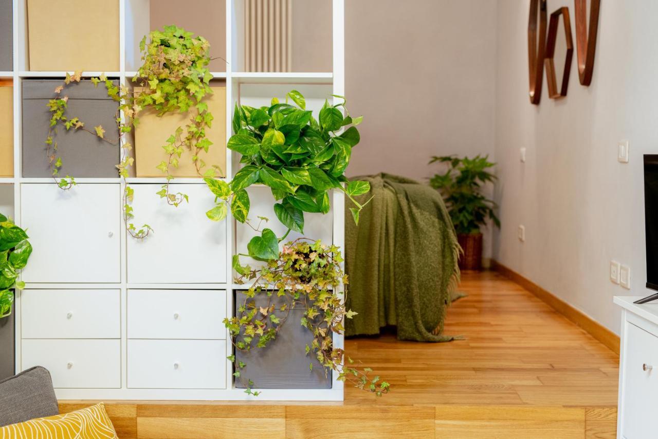 루카 Il Cortile Di Elisa & Our Flats B&B 외부 사진